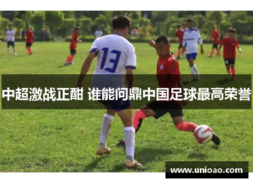 中超激战正酣 谁能问鼎中国足球最高荣誉