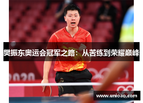 樊振东奥运会冠军之路：从苦练到荣耀巅峰